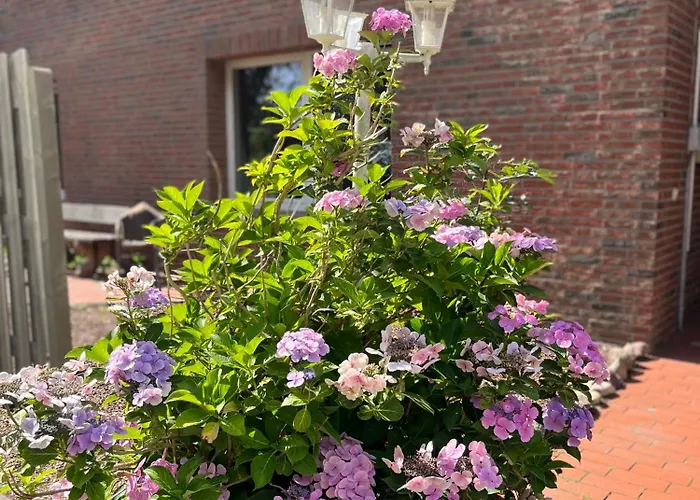 דירה Deich Connect 9.4 דורום נויפלד